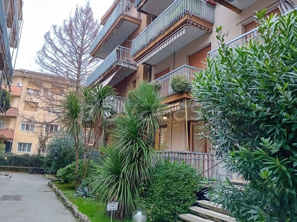 immagine annuncio 11 di 12