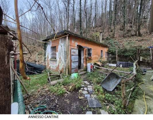 immagine annuncio 5 di 11