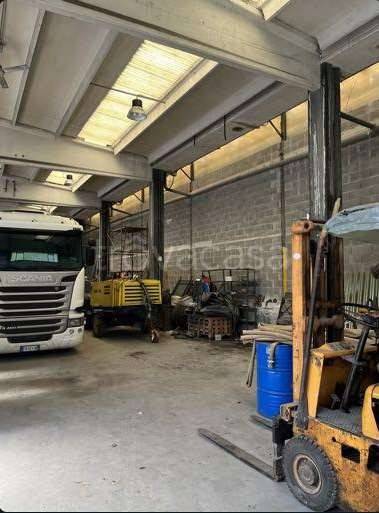 immagine annuncio 6 di 13