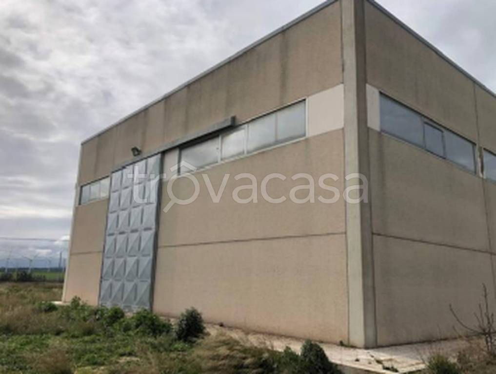 immagine annuncio 4 di 13