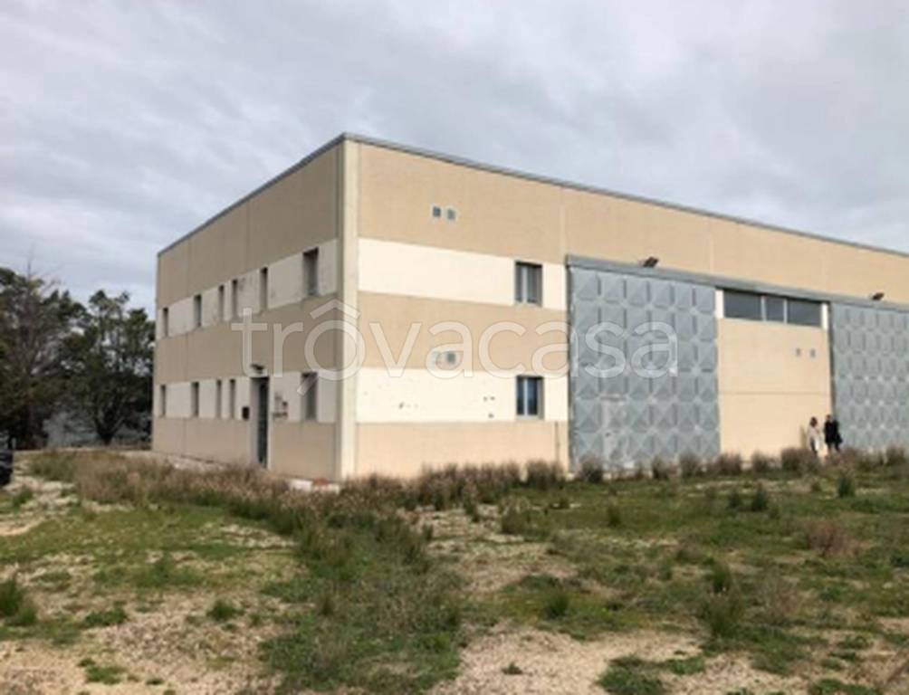 immagine annuncio 7 di 13