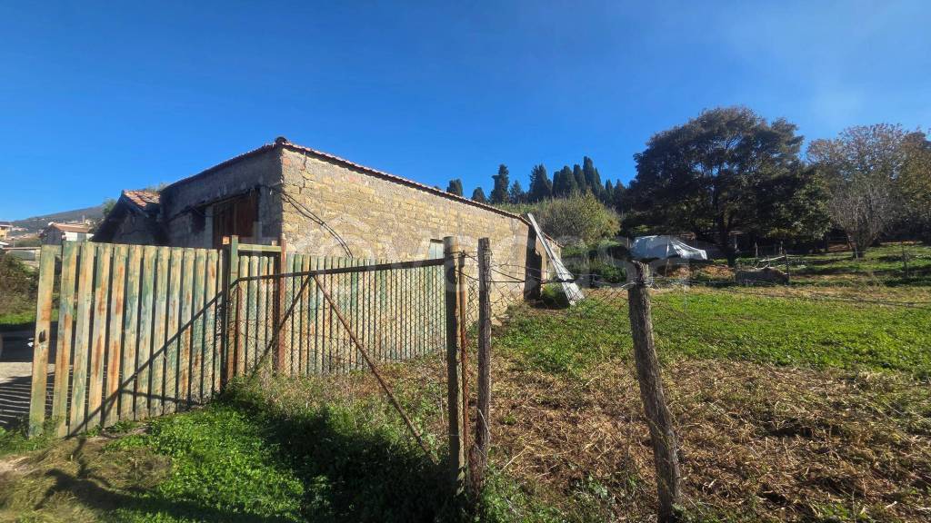 immagine annuncio 6 di 12