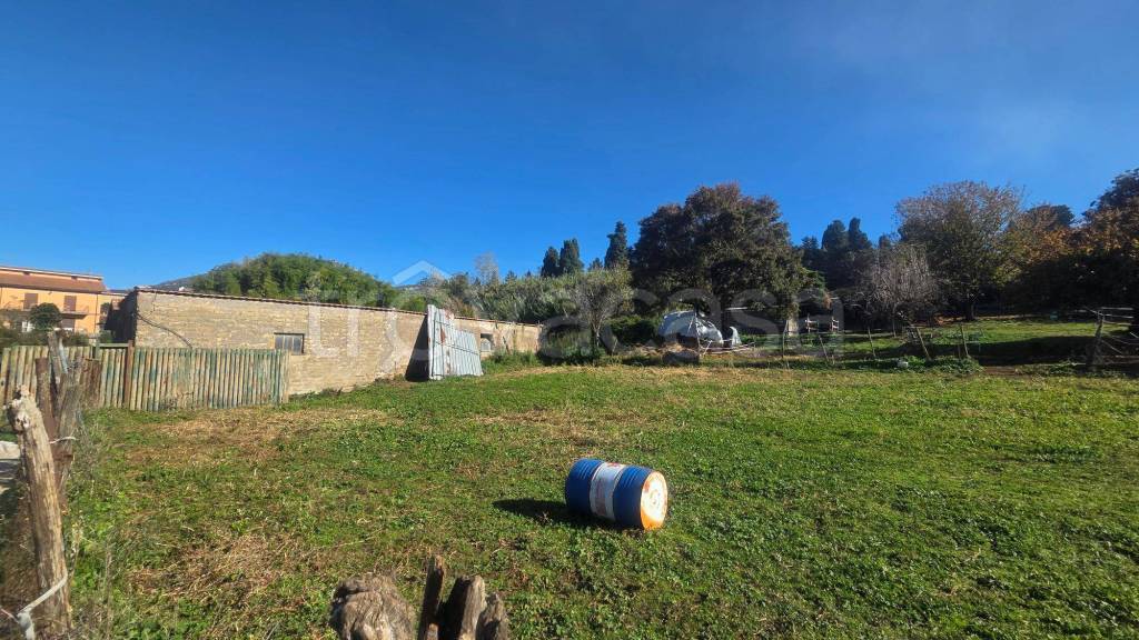 immagine annuncio 7 di 12