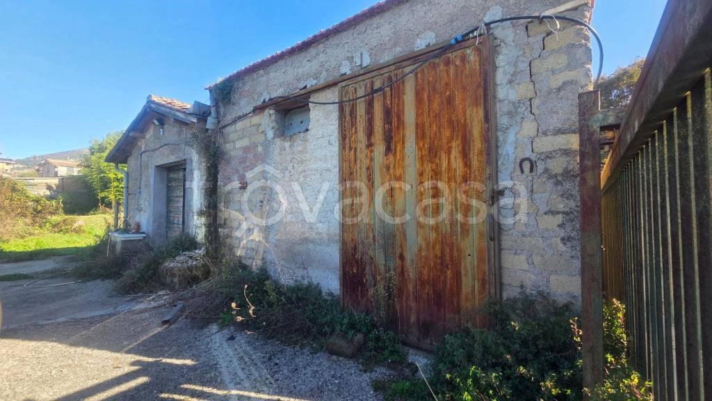 immagine annuncio 8 di 12