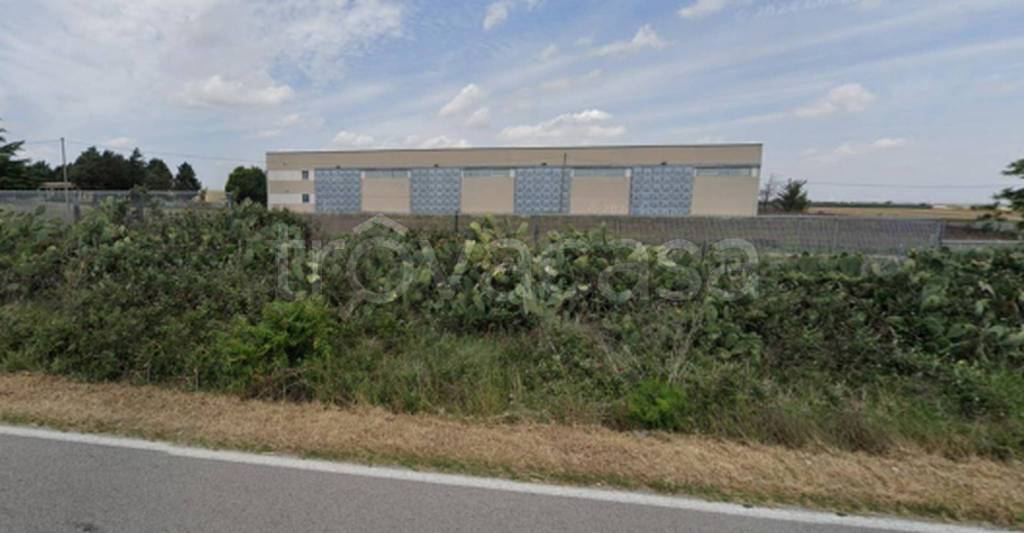 immagine annuncio 8 di 13