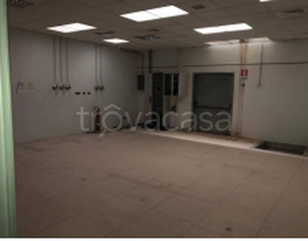 immagine annuncio 9 di 13