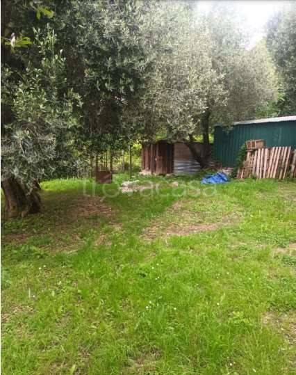 immagine annuncio 3 di 8