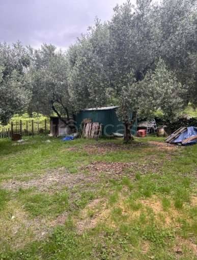 immagine annuncio 4 di 8