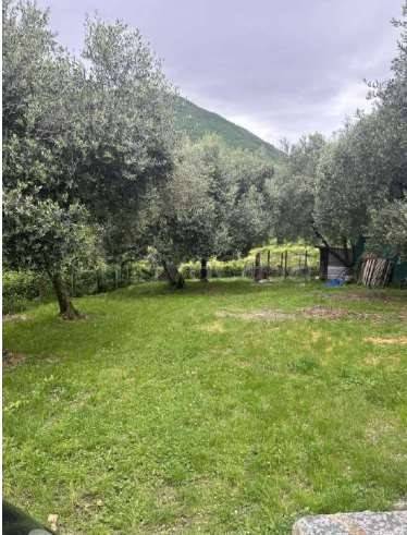 immagine annuncio 6 di 8