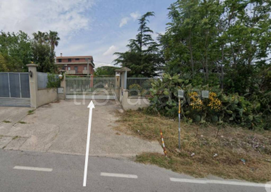 immagine annuncio 12 di 13