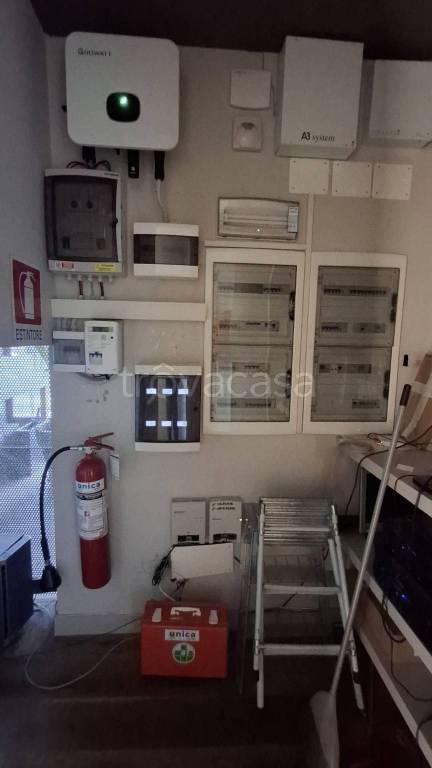 immagine annuncio 11 di 12