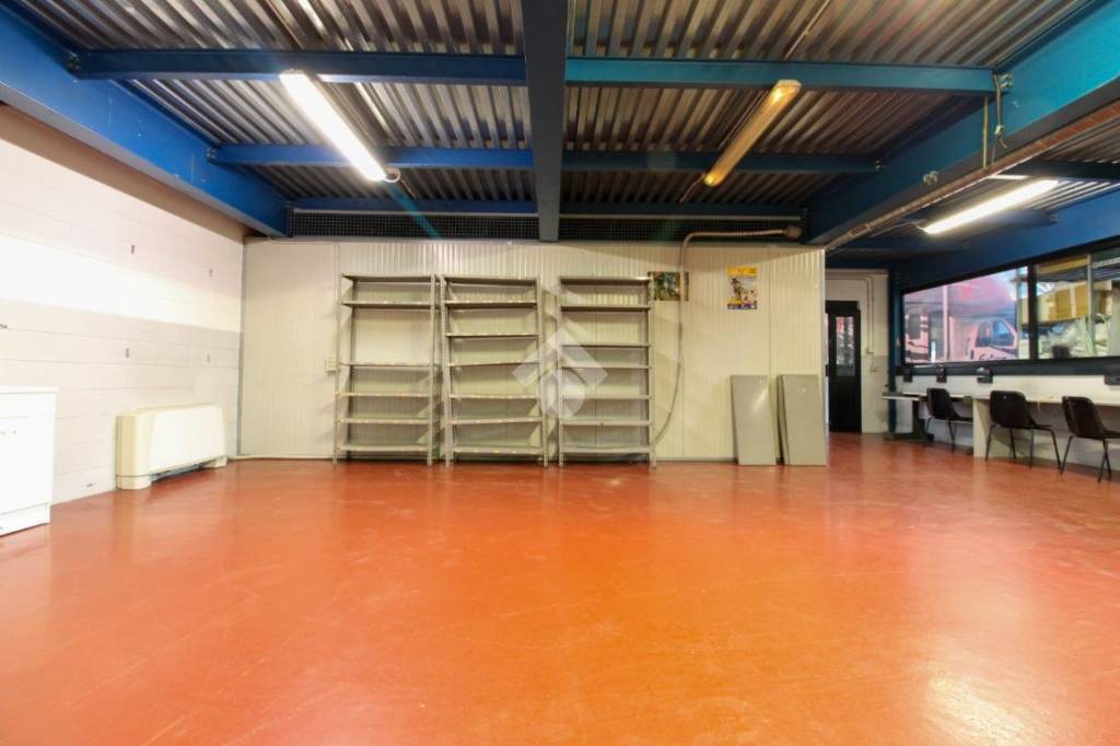 immagine annuncio 4 di 15