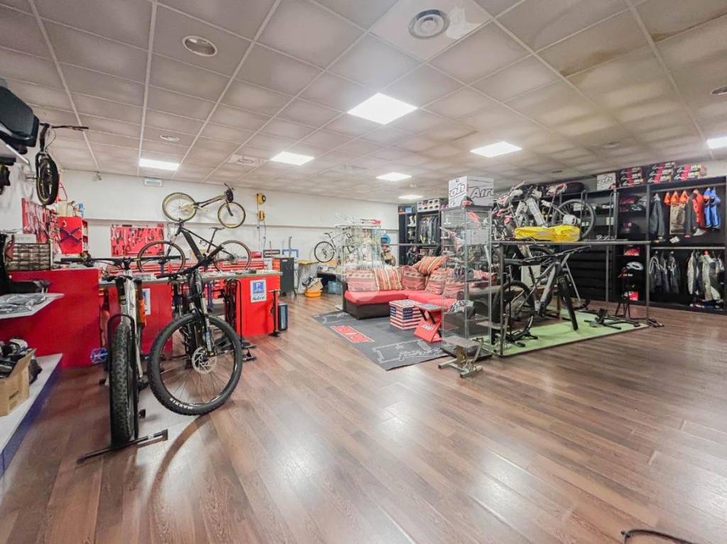 immagine annuncio 7 di 15