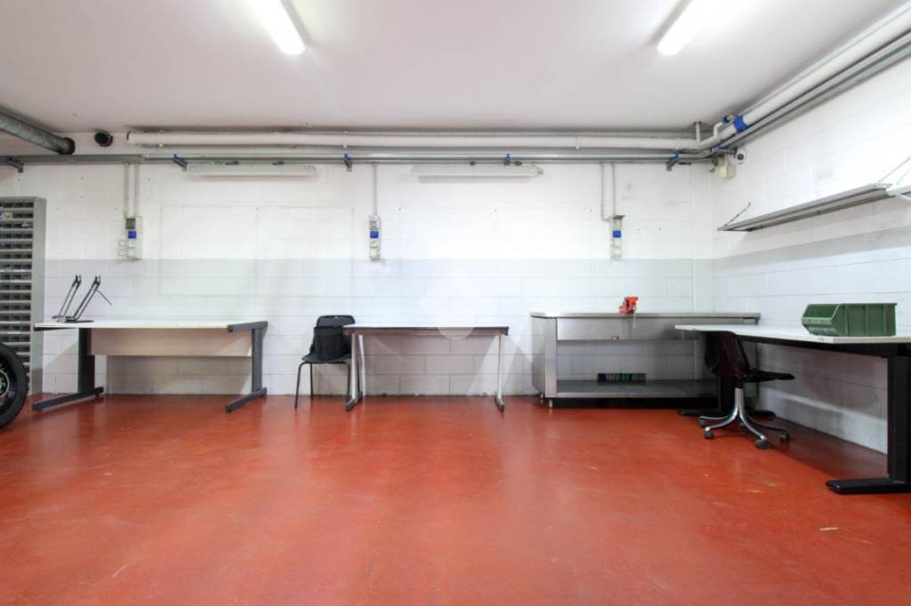 immagine annuncio 12 di 15