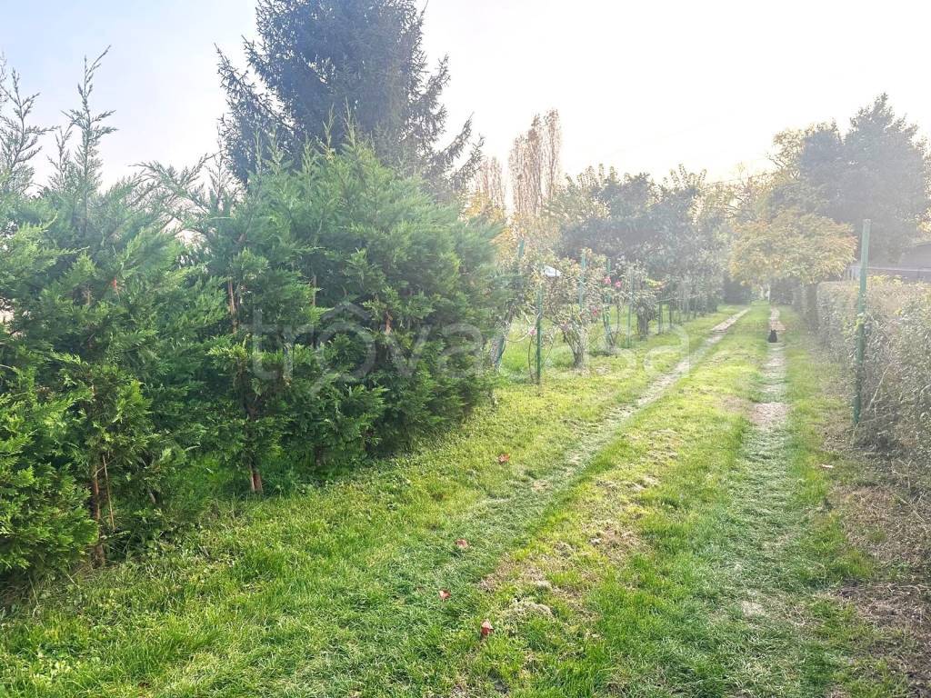 immagine annuncio 1 di 6