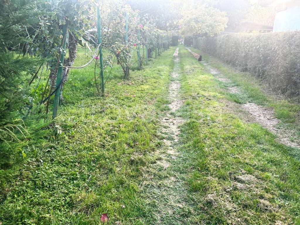 immagine annuncio 3 di 6