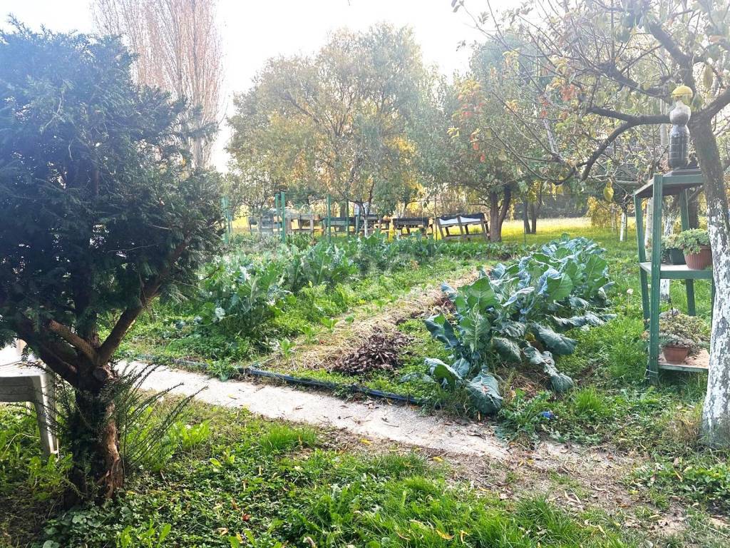 immagine annuncio 5 di 6