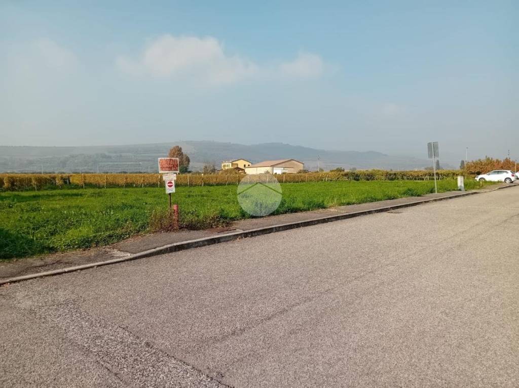 immagine annuncio 7 di 11