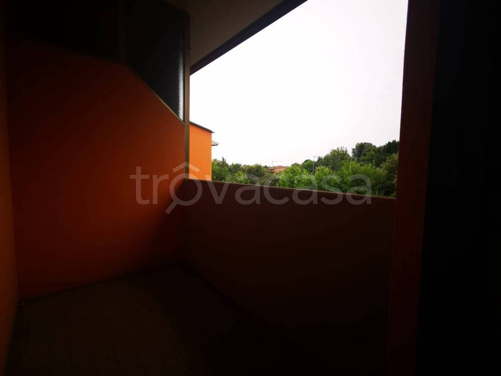 immagine annuncio 6 di 14