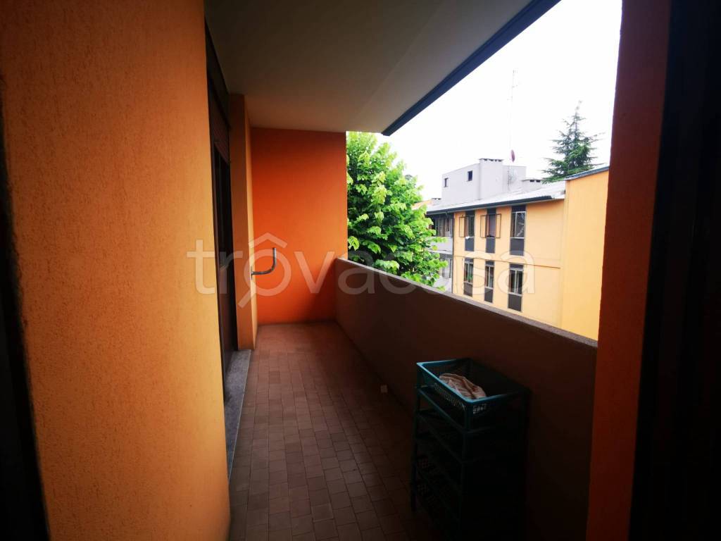 immagine annuncio 9 di 14