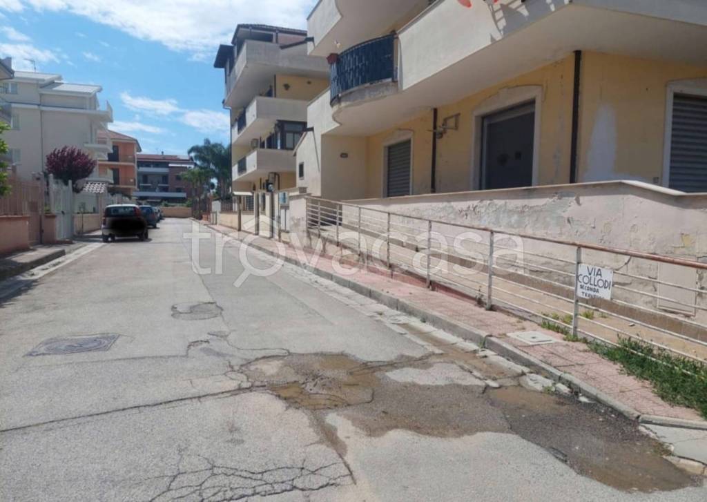 immagine annuncio 9 di 12