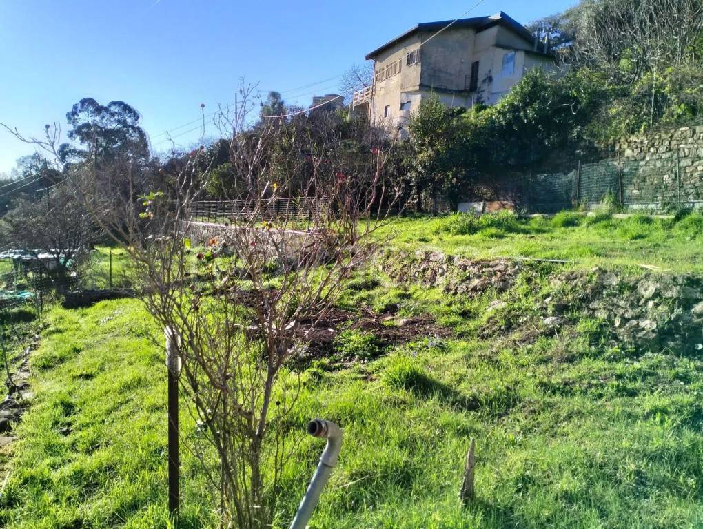 immagine annuncio 2 di 6