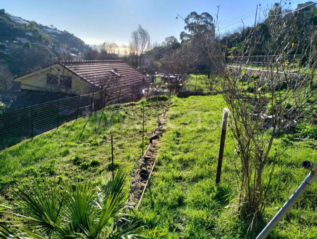 immagine annuncio 5 di 6