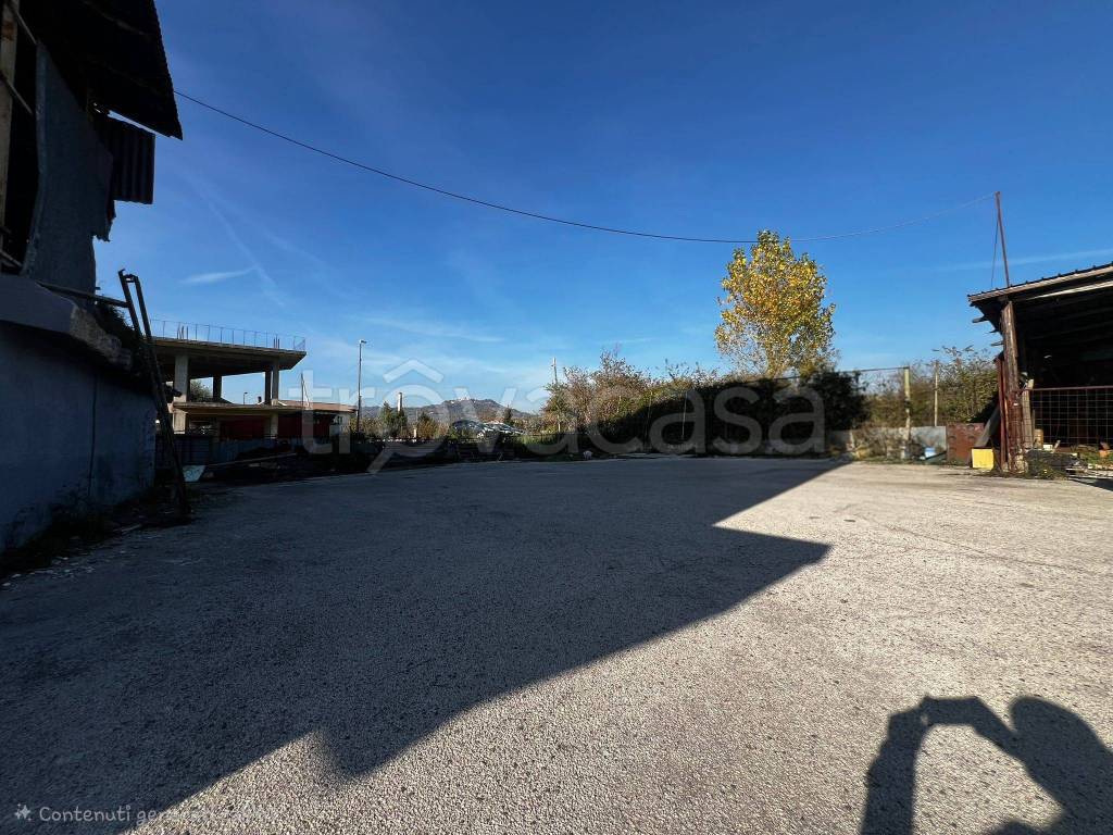 immagine annuncio 5 di 6