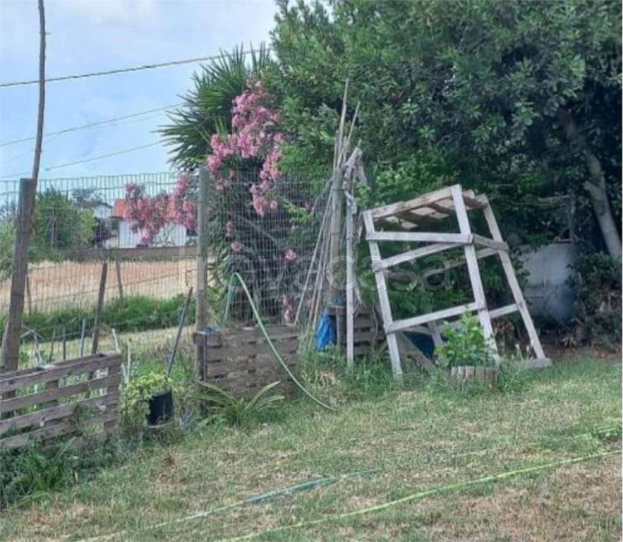 immagine annuncio 2 di 14