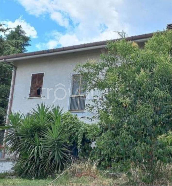 immagine annuncio 4 di 14