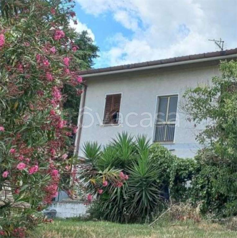 immagine annuncio 6 di 14