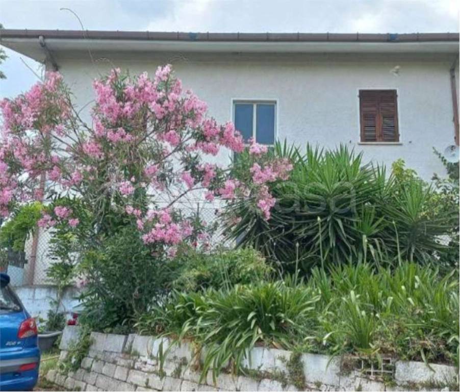 immagine annuncio 9 di 14