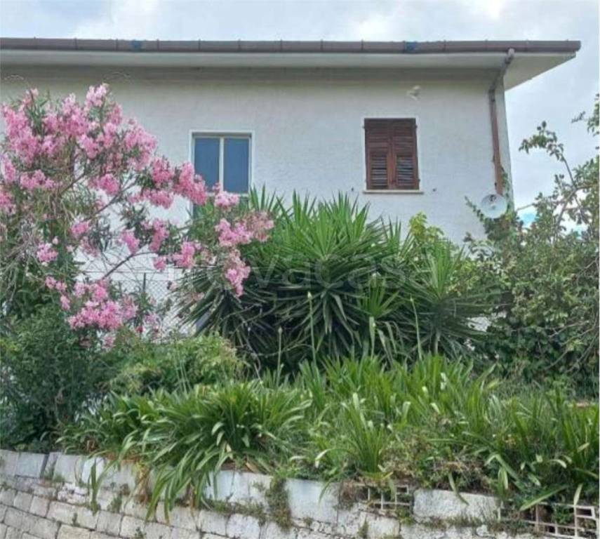 immagine annuncio 10 di 14