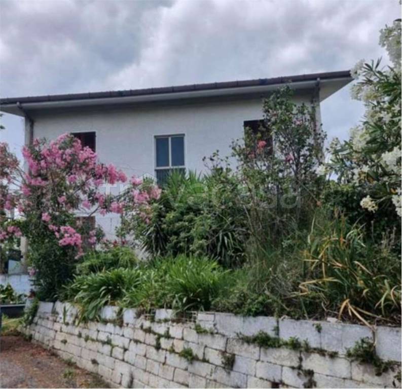 immagine annuncio 11 di 14