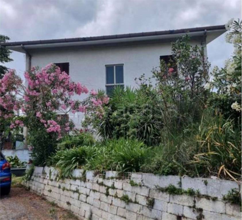 immagine annuncio 12 di 14