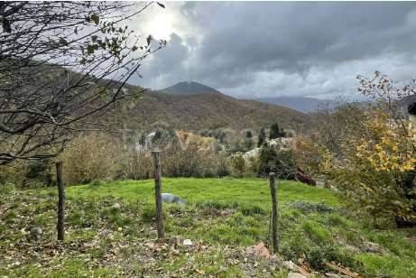 immagine annuncio 4 di 6