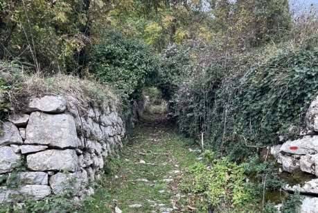 immagine annuncio 2 di 6