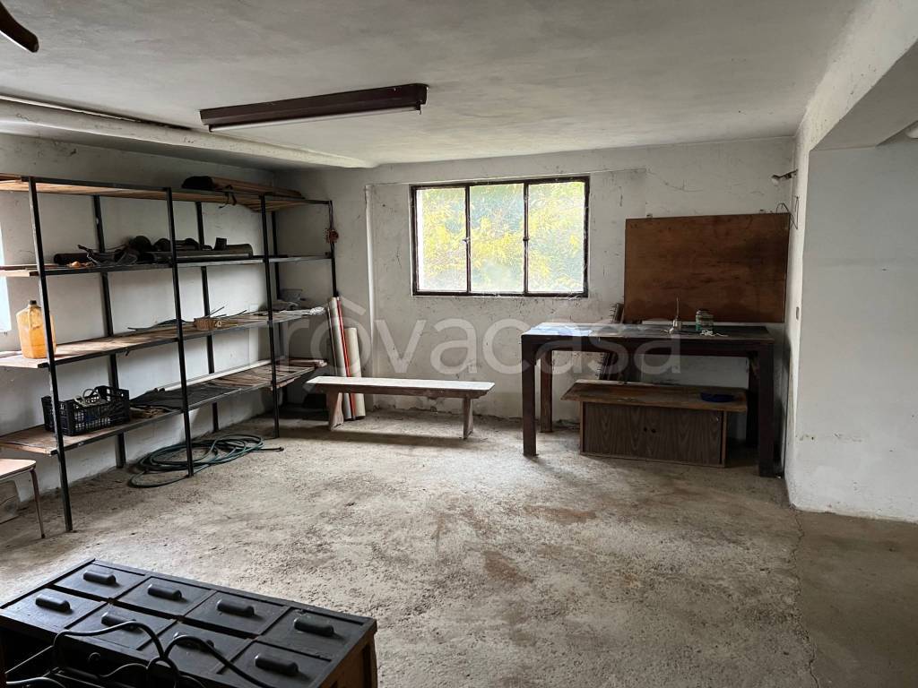 immagine annuncio 12 di 14