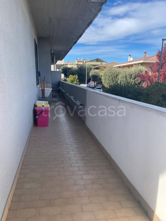 immagine annuncio 11 di 13