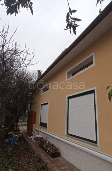 immagine annuncio 5 di 14