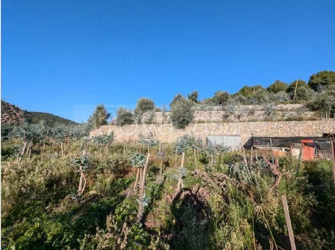 immagine annuncio 3 di 8