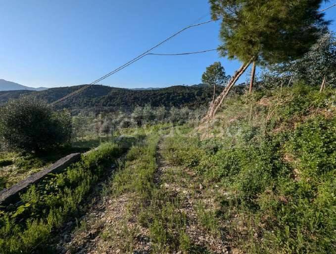 immagine annuncio 4 di 8