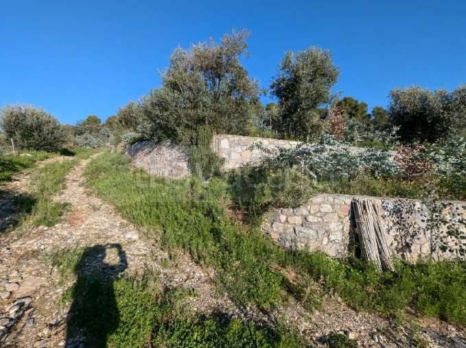 immagine annuncio 5 di 8