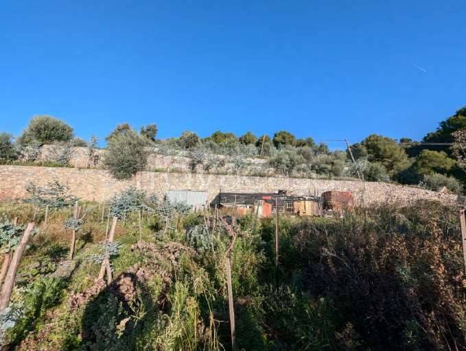 immagine annuncio 6 di 8