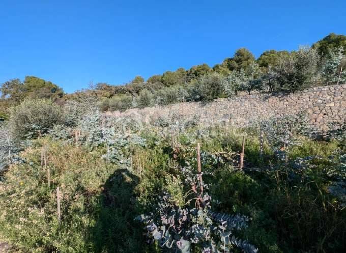 immagine annuncio 7 di 8