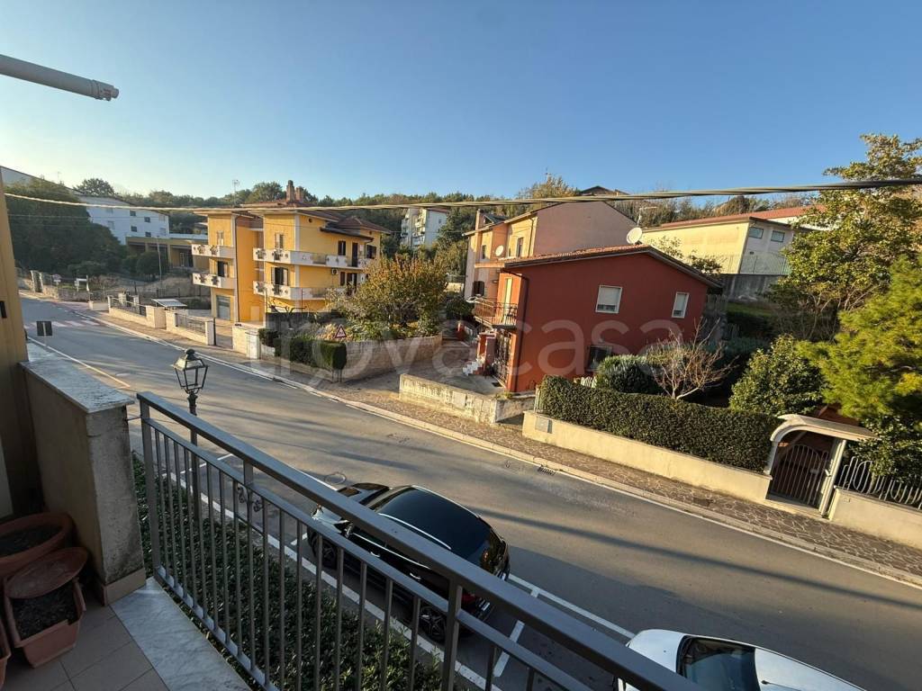 immagine annuncio 7 di 14