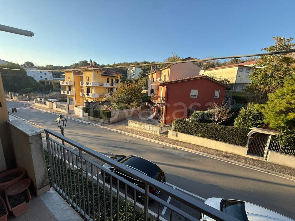 immagine annuncio 9 di 14