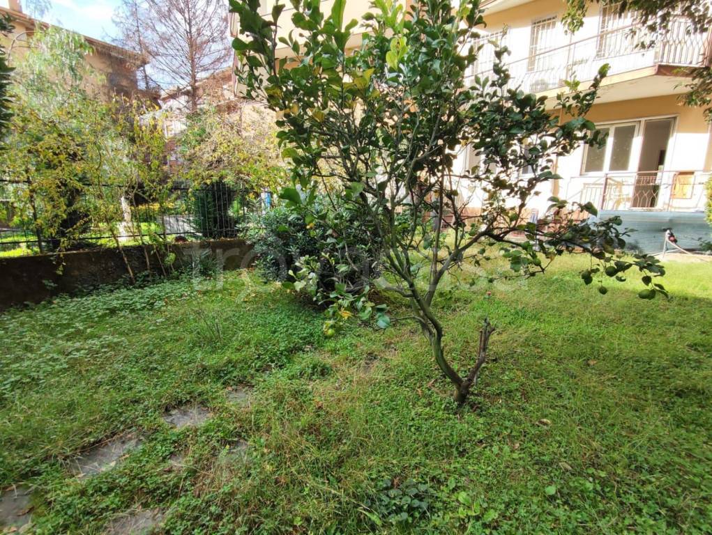 immagine annuncio 1 di 9