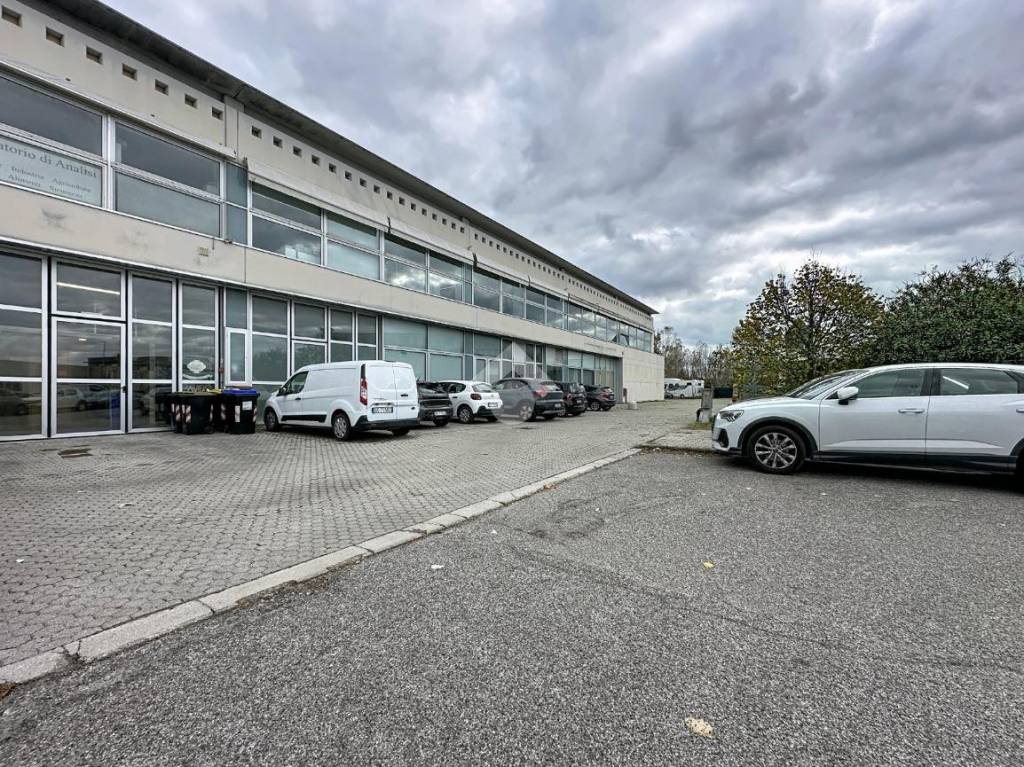 immagine annuncio 9 di 15