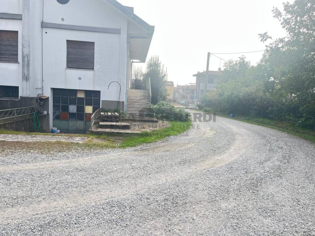 immagine annuncio 14 di 15